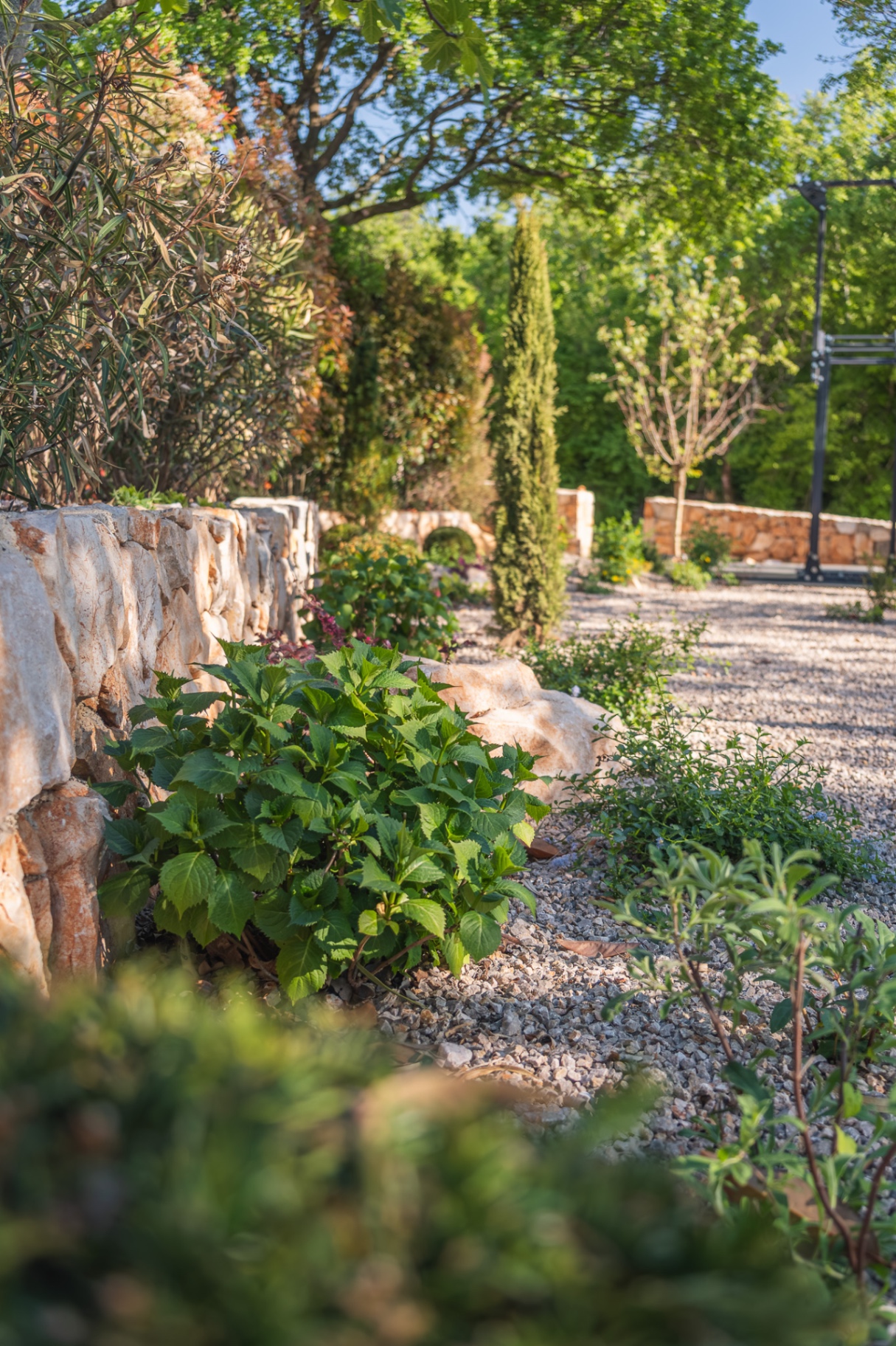 Detalj kamena, sadnje i materijala — Zlatni Bush
