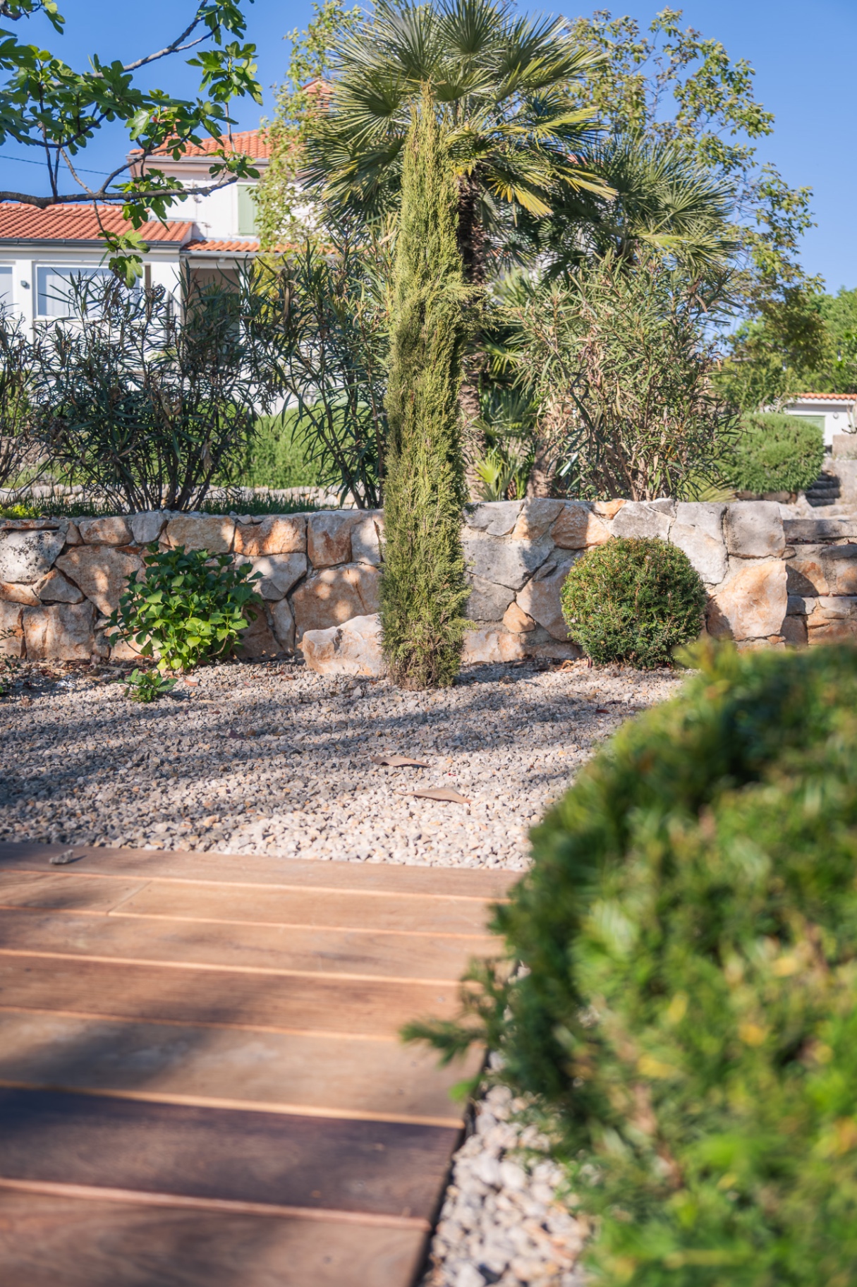 Kameni potporni zid, palma i čempres iznad decking staze — Kvarner